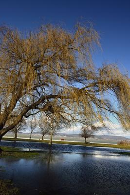 Balatonberény-stock-foto