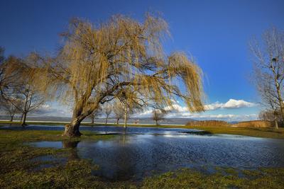 Balatonberény-stock-foto