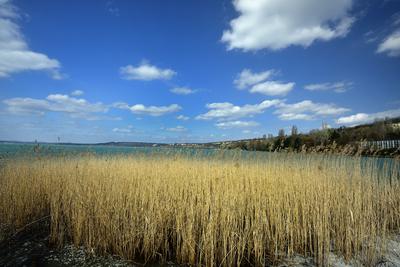 Balatonaliga-stock-foto