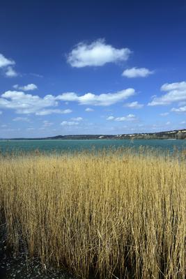 Balatonaliga-stock-foto