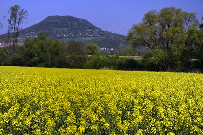 Balaton-felvidék-stock-foto