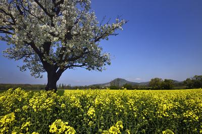 Balaton-felvidék-stock-foto