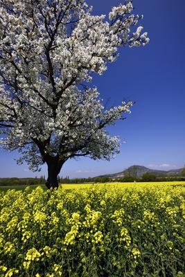 Balaton-felvidék-stock-foto