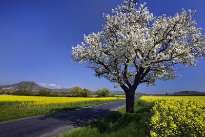 Balaton-felvidék-stock-foto