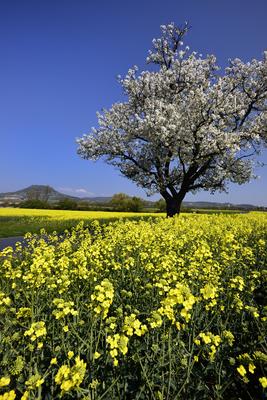Balaton-felvidék-stock-foto