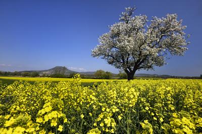 Balaton-felvidék-stock-foto
