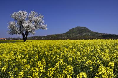 Balaton-felvidék-stock-foto