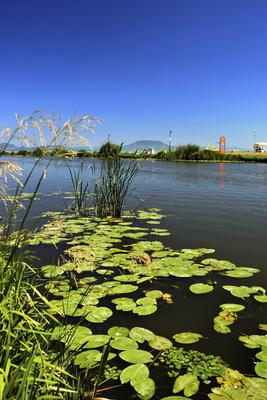Balatonmáriafürdő-stock-foto