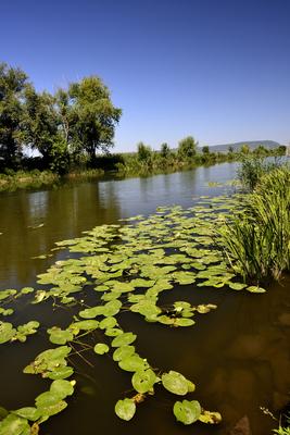 Balatonmáriafürdő-stock-foto