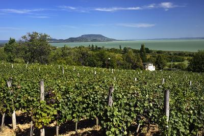 Balaton-stock-foto