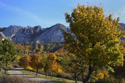 Bélapátfalva-stock-foto