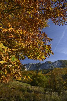 Bélapátfalva-stock-foto