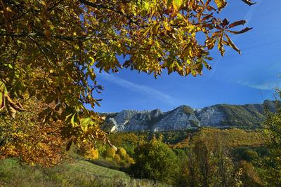 Bélapátfalva-stock-foto