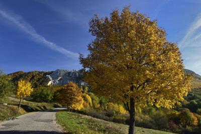 Bélapátfalva-stock-foto