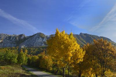 Bélapátfalva-stock-foto