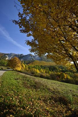 Bélapátfalva-stock-foto