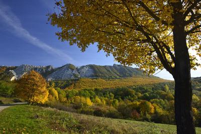 Bélapátfalva-stock-foto