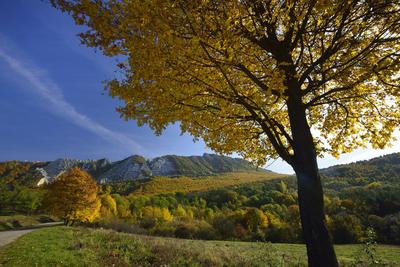 Bélapátfalva-stock-foto