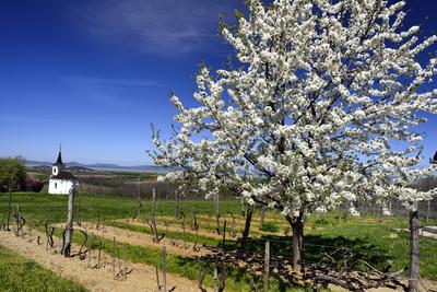 Balatonlelle-stock-foto