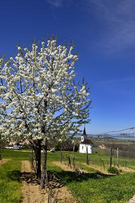 Balatonlelle-stock-foto