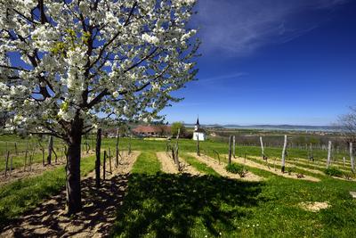 Balatonlelle-stock-foto