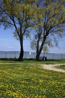 Balatonlelle-stock-foto