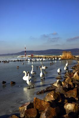 Téli Balaton-stock-foto