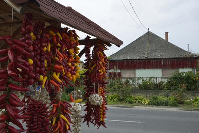 Bátya-stock-foto