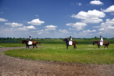 Bugac puszta-stock-foto