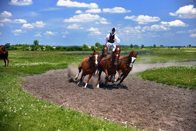Bugac puszta-stock-foto