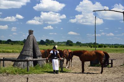 Bugac puszta-stock-foto