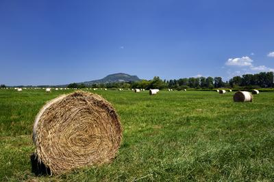 Balaton-felvidék-stock-foto
