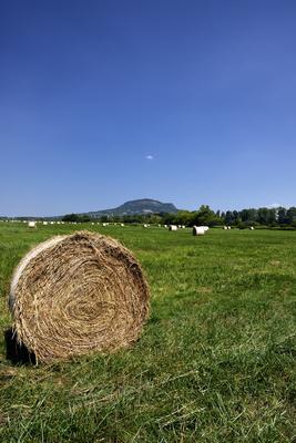 Balaton-felvidék-stock-foto