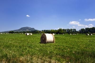 Balaton-felvidék-stock-foto
