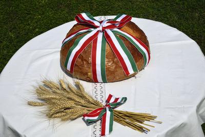 Új kenyér augusztusban.-stock-foto