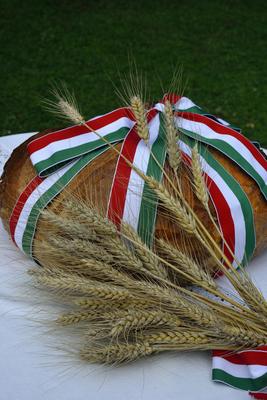 Új kenyér augusztusban.-stock-foto