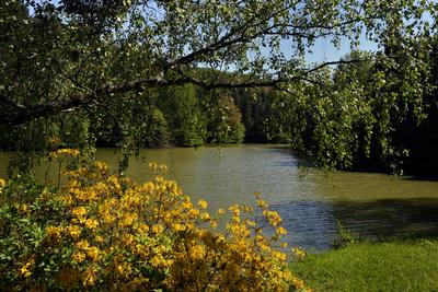 Budafapusztai Arborétum-stock-foto