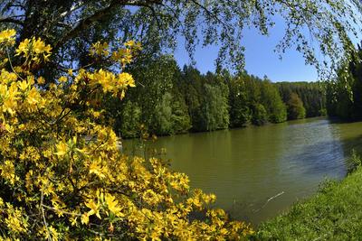 Budafapusztai Arborétum-stock-foto