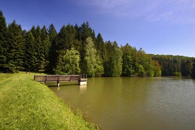 Budafapusztai Arborétum-stock-foto