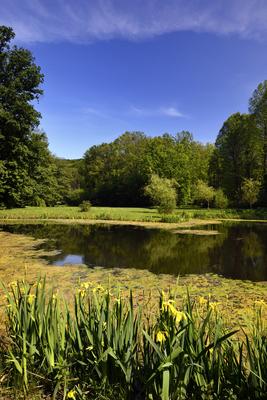 Budafapusztai Arborétum-stock-foto