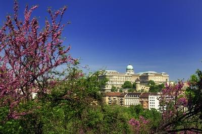 Budapest, a Budavári Palota látványa-stock-foto