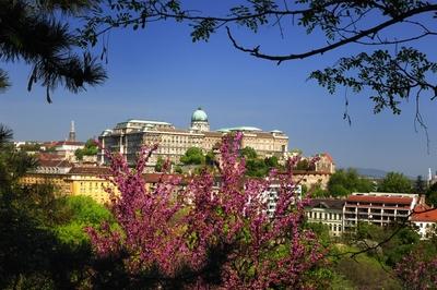 Budapest, a Budavári Palota látványa-stock-foto