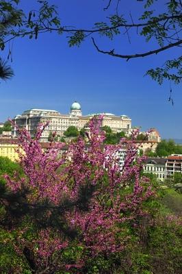 Budapest, a Budavári Palota látványa-stock-foto