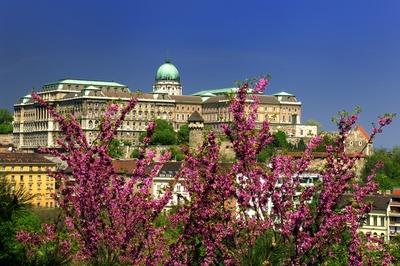 Budapest, a Budavári Palota látványa-stock-foto