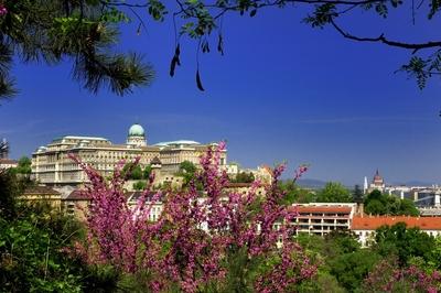 Budapest, a Budavári Palota látványa-stock-foto