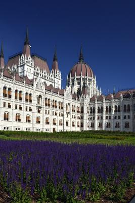 Budapest, Országház (Parlament)-stock-foto
