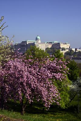 Budapest, a Budavári Palota látványa-stock-foto