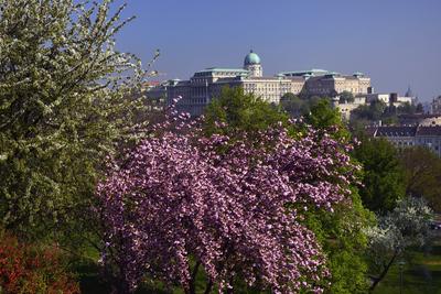 Budapest, a Budavári Palota látványa-stock-foto