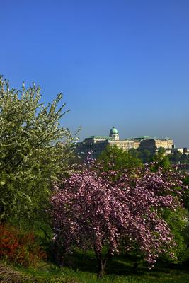 Budapest, a Budavári Palota látványa-stock-foto