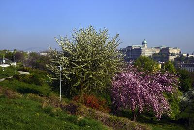 Budapest, a Budavári Palota látványa-stock-foto